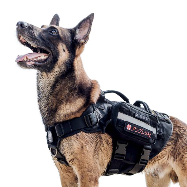 Ultimate Tactical Dog Gear Set  Leash & MOLLE Pouches - OnePaw – One Paw  Dog Company