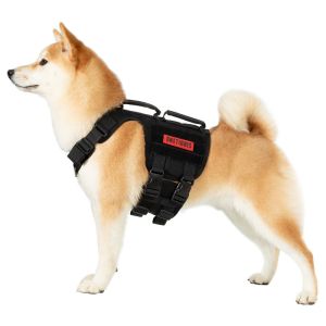 GLADIATOR Support Dog Harness