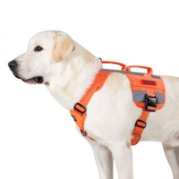 1TG-SAR Dog Harness