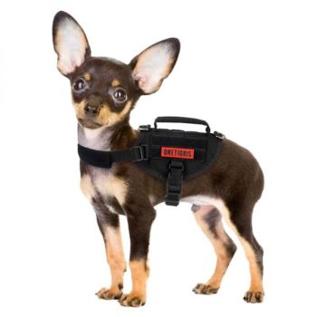 BEAST MOJO Small Dog Harness