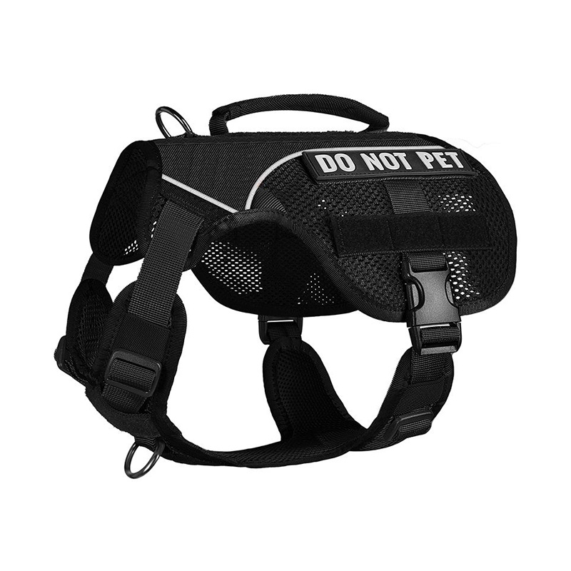 Sturdy OneTigris Mesh Dog Harnesses: AIRE MESH vs COMET'S TAIL -  K9sOverCoffee