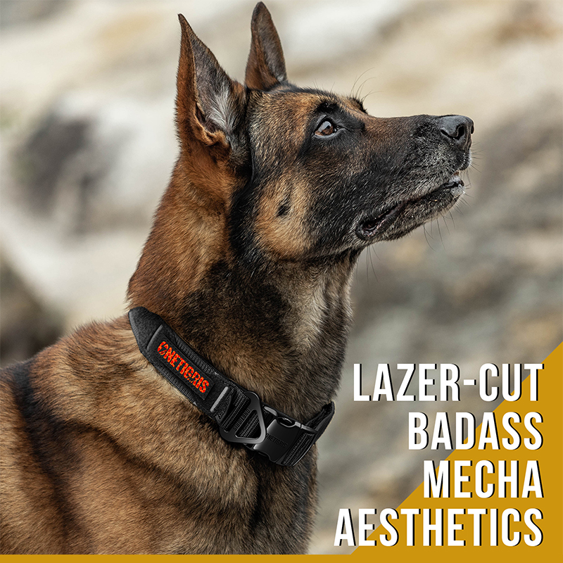 The product details of  X11 Dog Collar