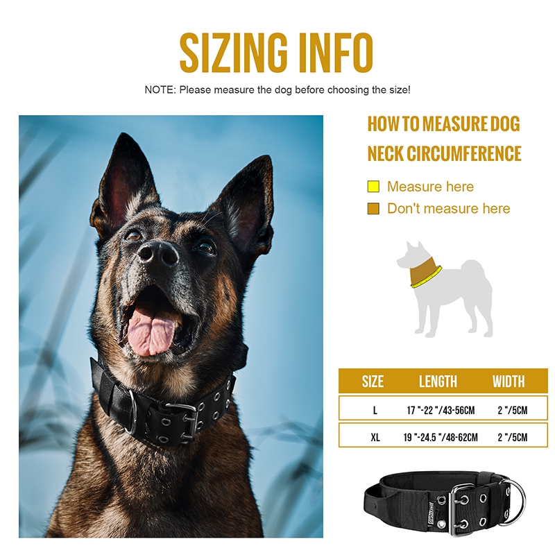 The size chart of OneTigris Dog Collar 12