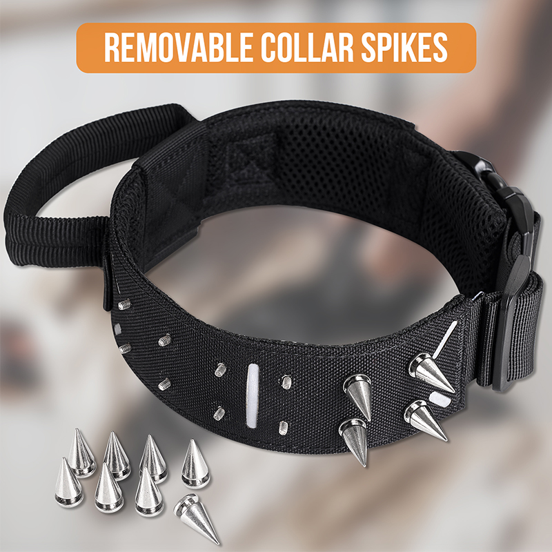 Product of Spiked Dog Collar 13