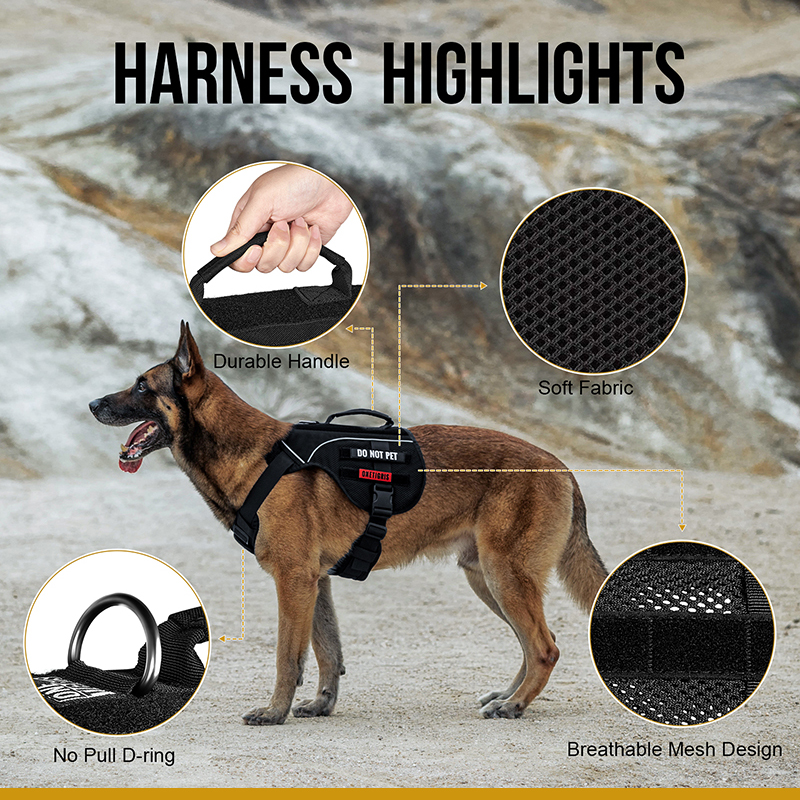 Product details of COMET’S TAIL Dog Harness