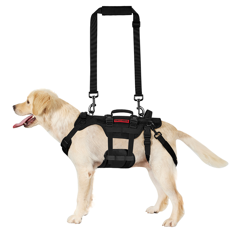 The product display of INVICTUS Support Harness