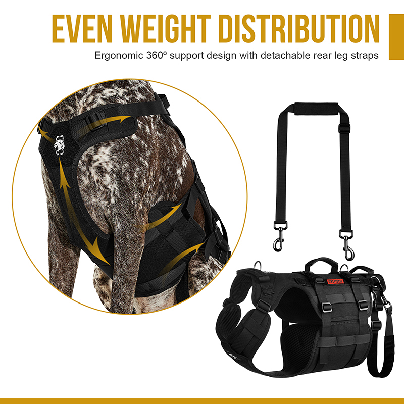 The product details of INVICTUS Support Harness
