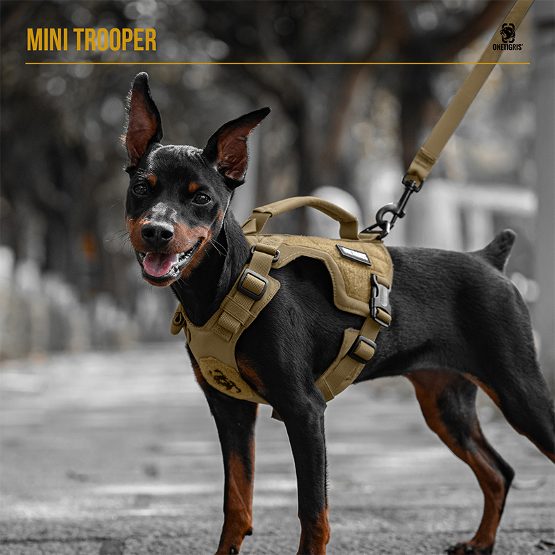 MINI TROOPER Small Harness Set