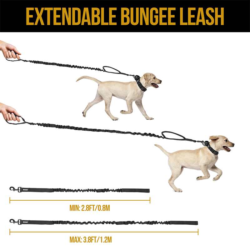 The size chart of OneTigris Dog leash 110