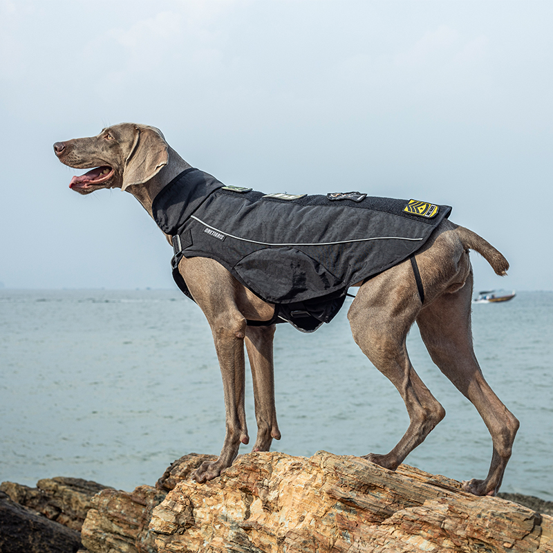 OneTigris Wind/Water Resistant & Insulated Indoor/Outdoor Winter Coat for Small Medium and Large Dogs 