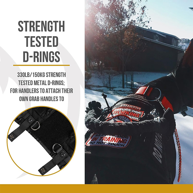 OneTigris Apollo 09 Dog Harness came with strength tested D-rings