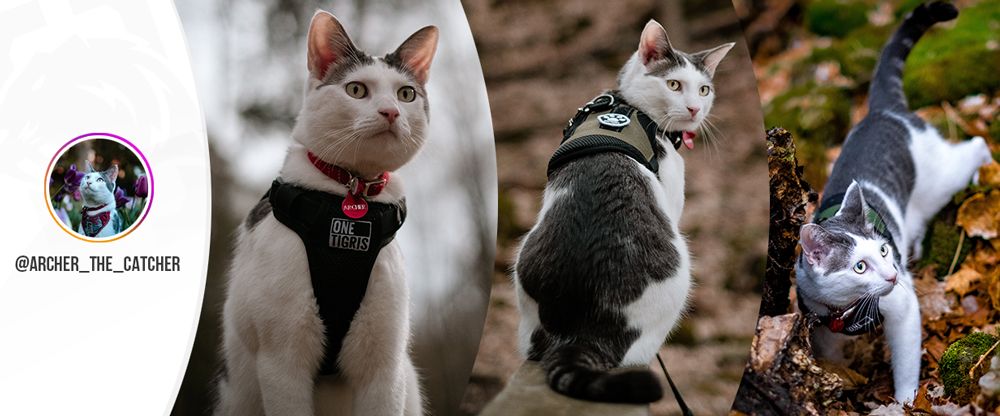 OneTigris Outdoor Walking Protective Escape Proof Cat/Dog Vest With Leash
