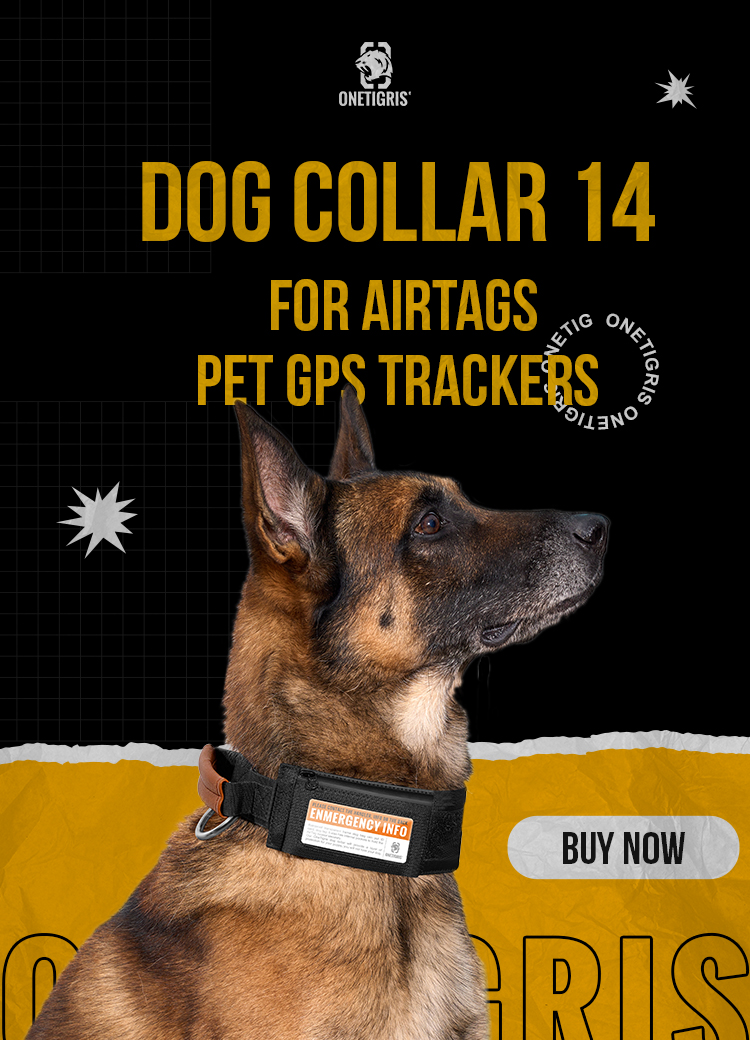 Dog Collar with a Pouch